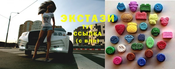 ECSTASY Богородицк