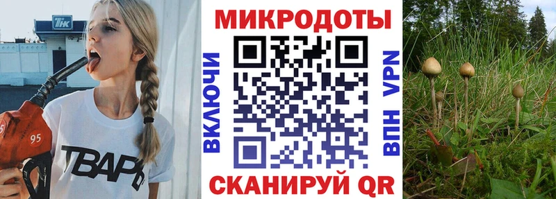 Галлюциногенные грибы Cubensis  Петропавловск-Камчатский 