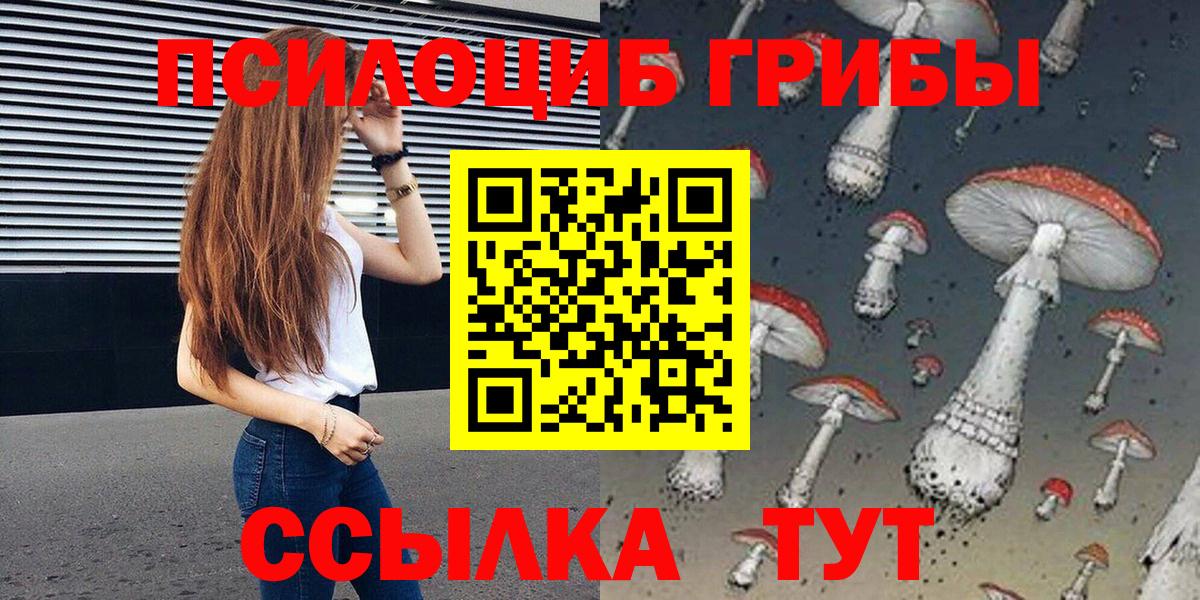 купить наркотик  Псилоцибиновые грибы Psilocybe  Петропавловск-Камчатский  Галлюциногенные грибы GOLDEN TEACHER 
