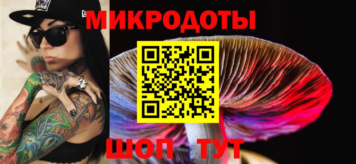 цена наркотик  Вход с VPN  Петропавловск-Камчатский  Галлюциногенные грибы Psilocybine cubensis 