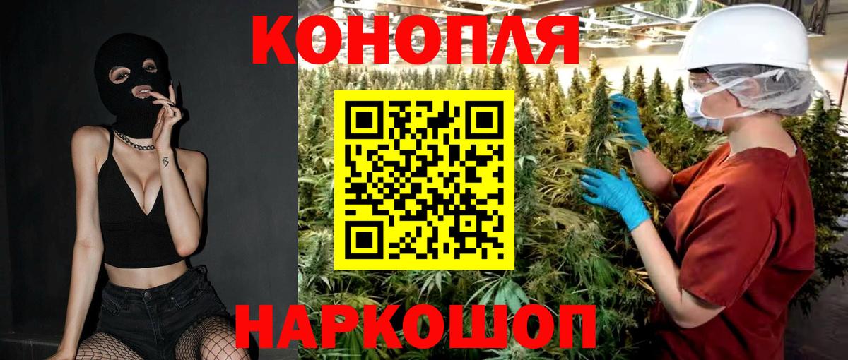 Каннабис план  Бошки марихуана Ganja  Бошки Шишки гибрид  МАРИХУАНА ГИДРОПОН  Петропавловск-Камчатский 